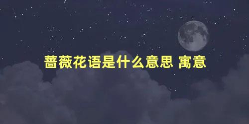 蔷薇花语是什么意思 寓意